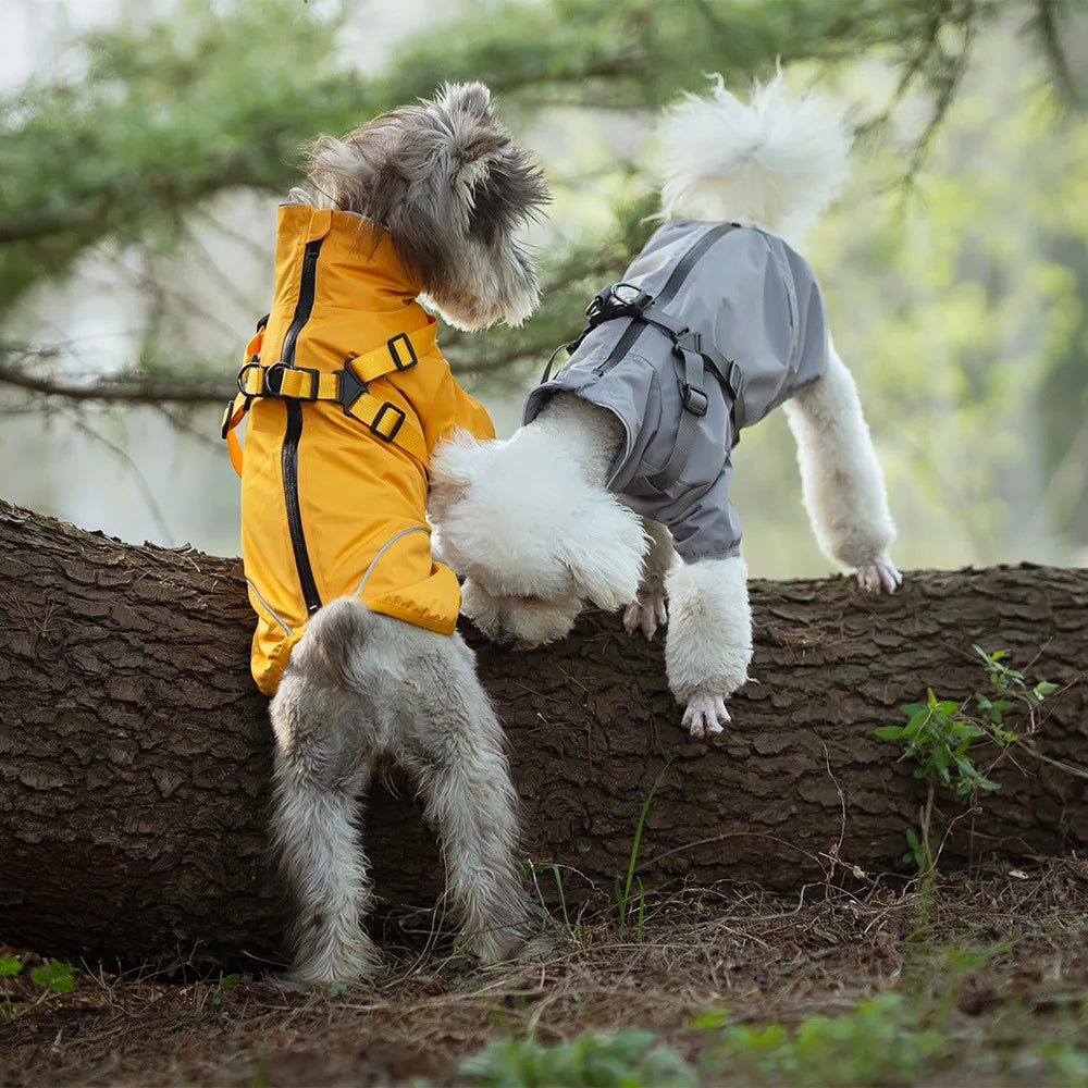 Two dogs in raincoats standing on a log in a forest setting