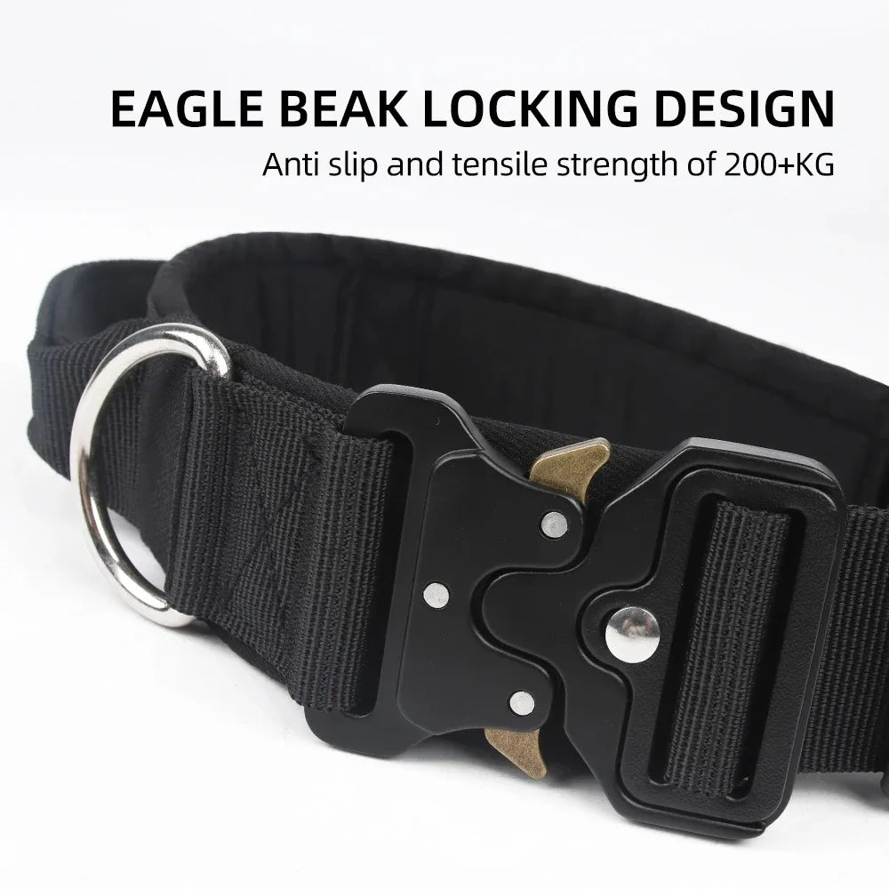 Black dog collar with eagle beak locking design on a white background