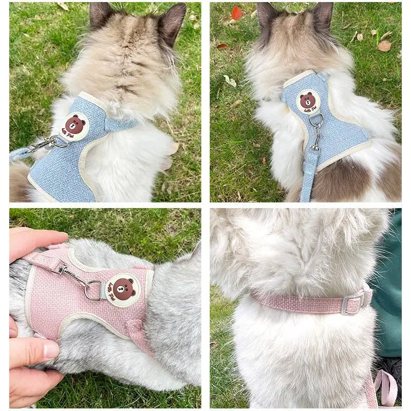 Collage of a cat wearing a blue and pink harness with bear designs outdoors.