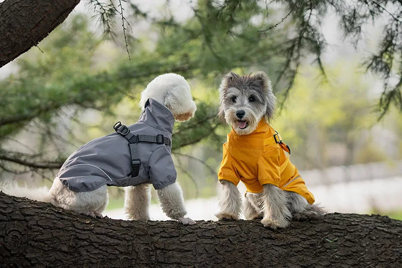Two dogs wearing raincoats standing on a tree trunk in a park.