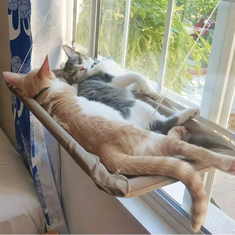 Two cats lounging on a hammock by a window with a view of greenery outside.