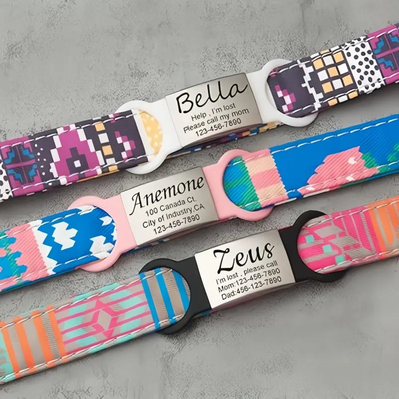 Colorful dog collars with nameplates on a gray surface