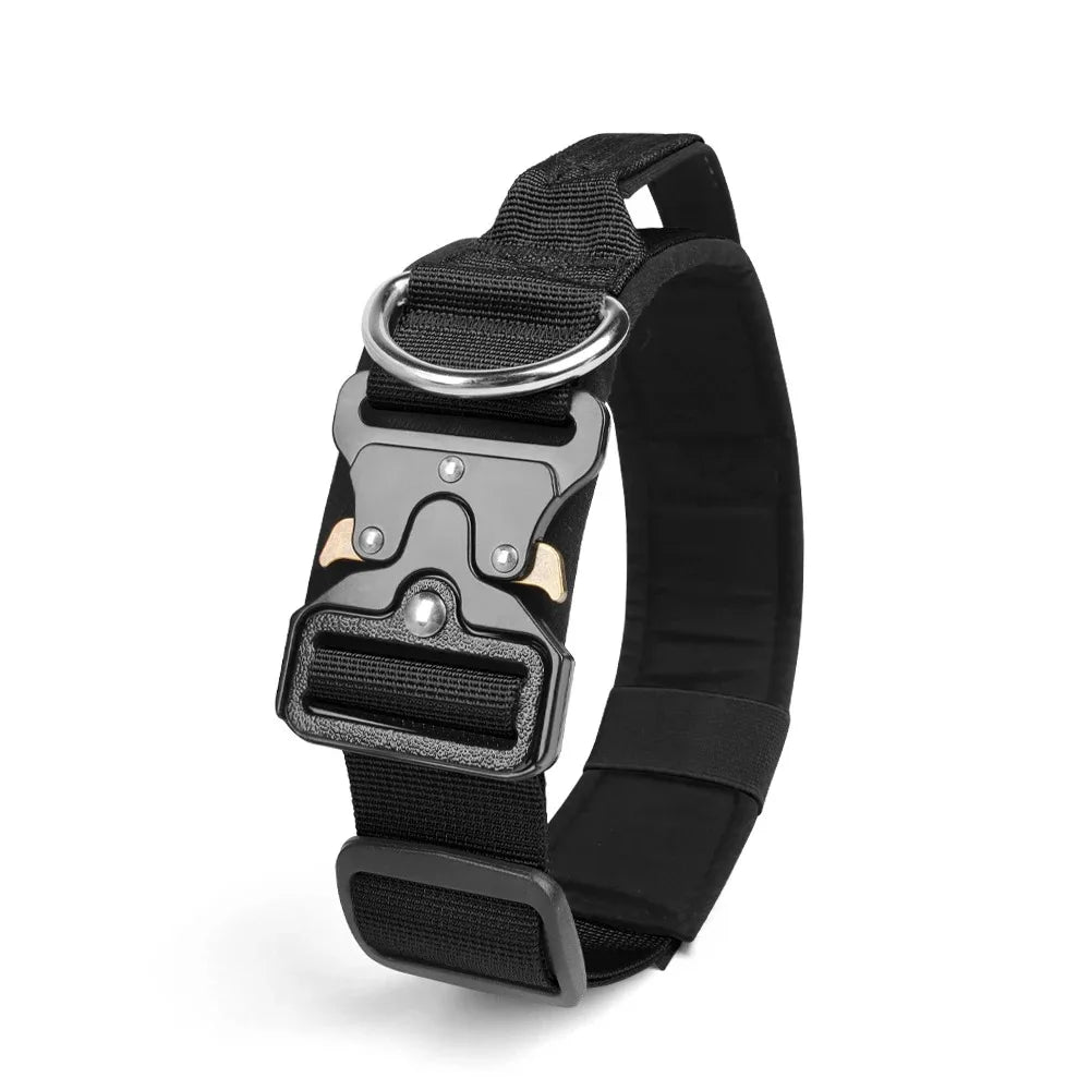  black dog collar with metal buckle on a white background