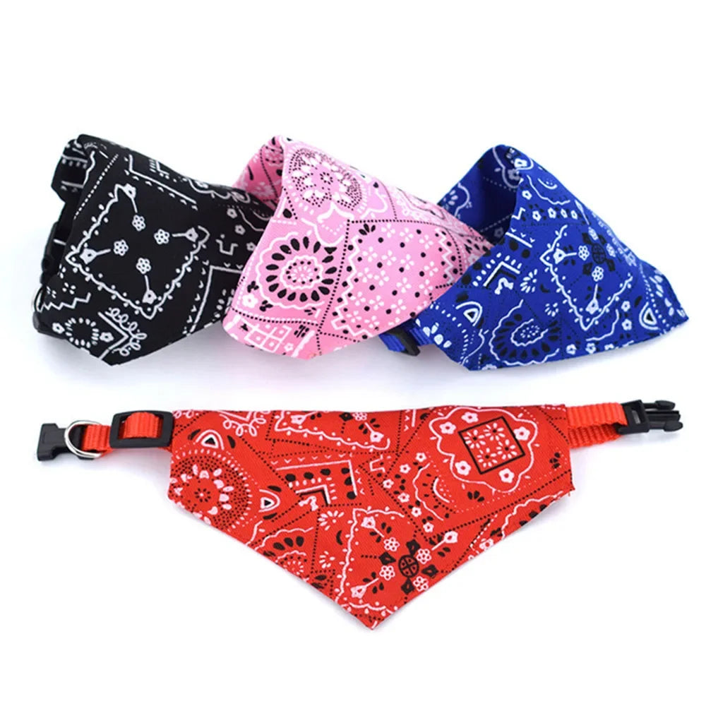 Four bandana-style dog collars in black, pink, blue, and red on a white background.