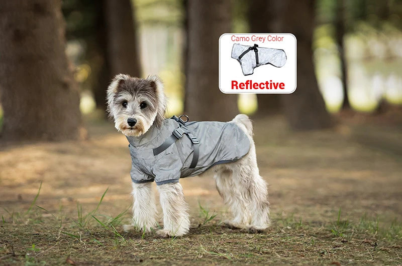 Dog wearing a reflective gray coat in a park setting
