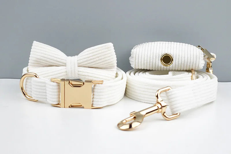 White dog collar with gold hardware and bow on a gray background