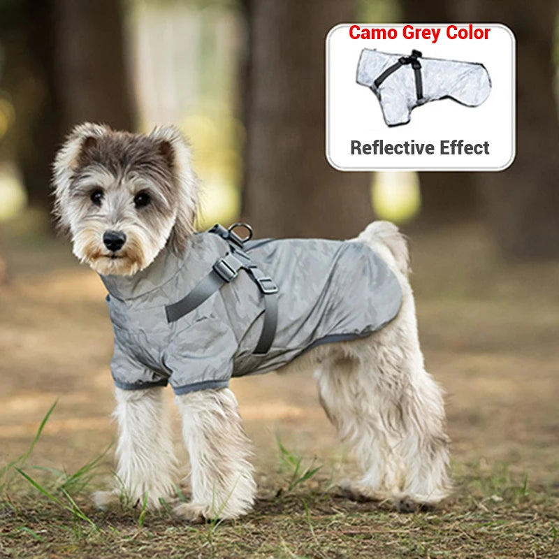 Dog wearing a camouflage gray coat with reflective effect in an outdoor setting