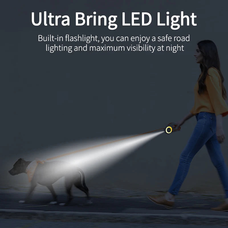 Person walking a dog with an LED light on a dark background