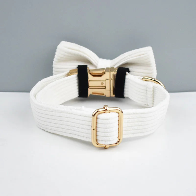White dog collar with a gold buckle and black accents on a gray background