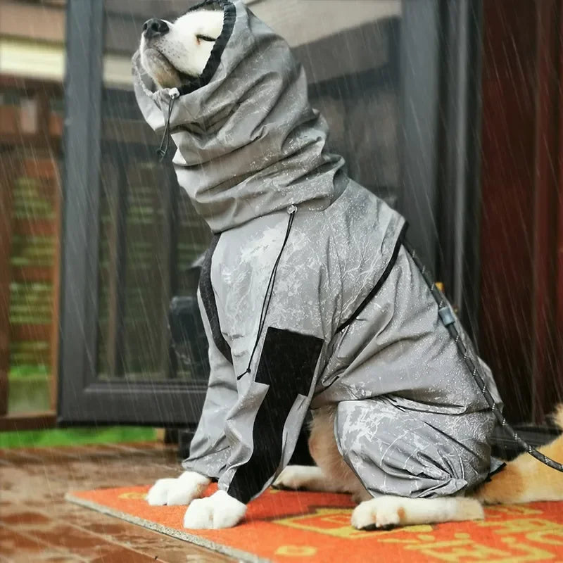 Dog wearing a gray raincoat in the rain