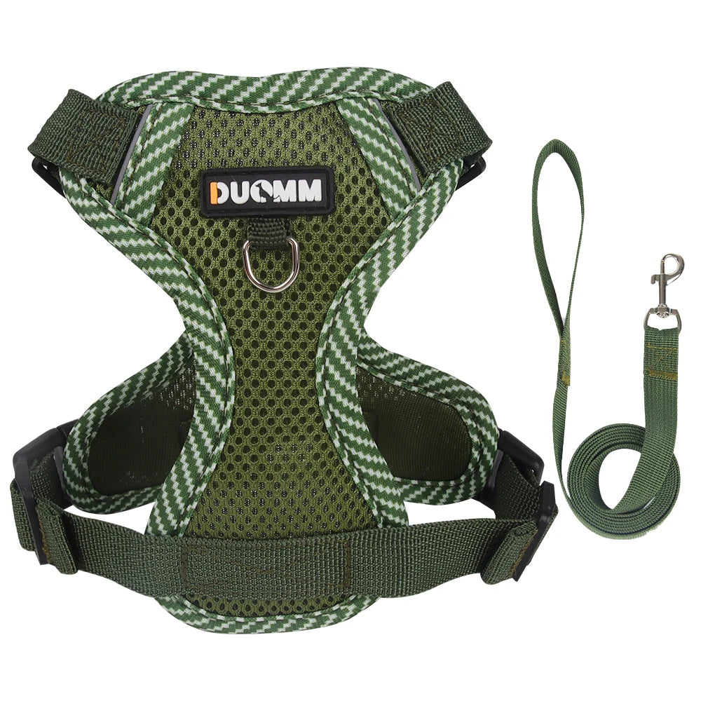 Green dog harness with matching leash on a white background