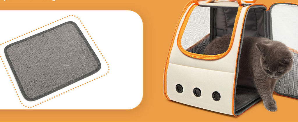 Cat carrier with a cat inside on an orange background 